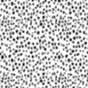 Meet your Posher, Belle